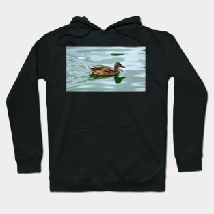 Duck Swimming In a Pond Hoodie